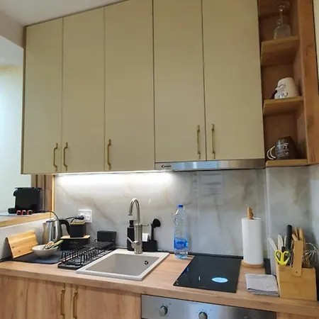 Anika Hedonica Vrdnik