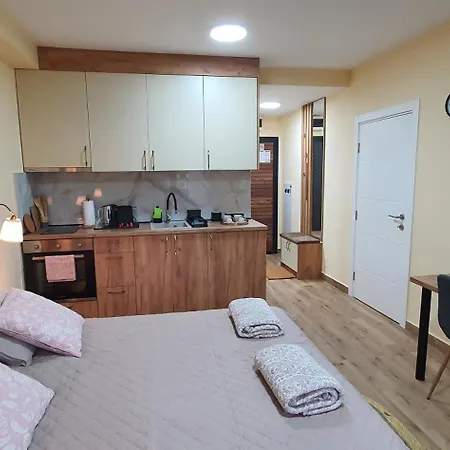 アパート Anika Hedonica ヴルドニーク