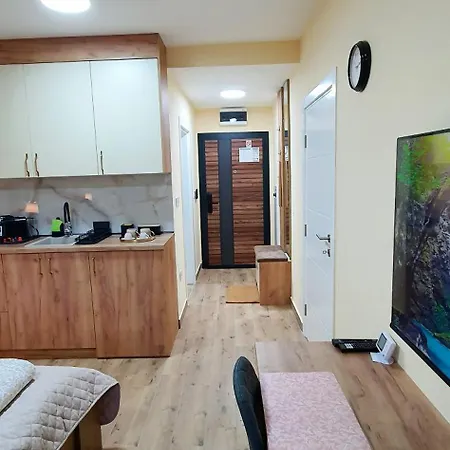 Апартаменты Anika Hedonica