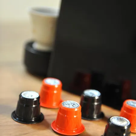 Daire Anika Hedonica