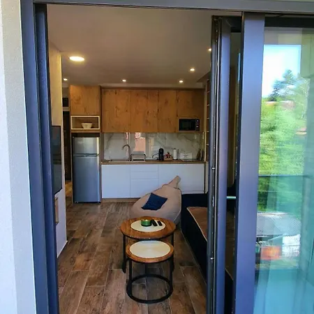 Anika Hedonica Daire *